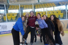 International Activity: Ice Skating
